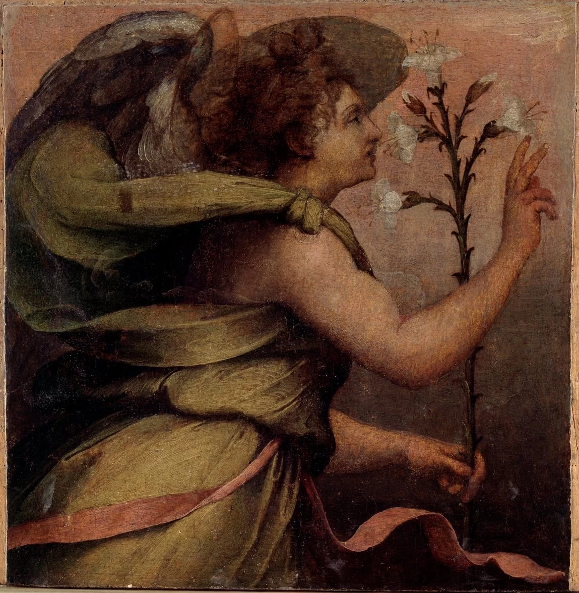 Perin del Vaga - 111, Annunciazione, Angelo annunciante, San Michele Arcangelo, Celle Ligure